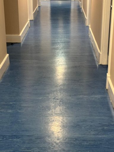 NHS doctors floors Strip and sealed