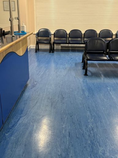 NHS doctors floors Strip and sealed